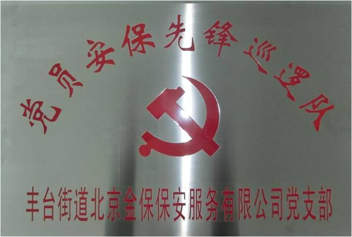 党员先锋队